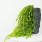 Artifical Plant Wall Hanging
