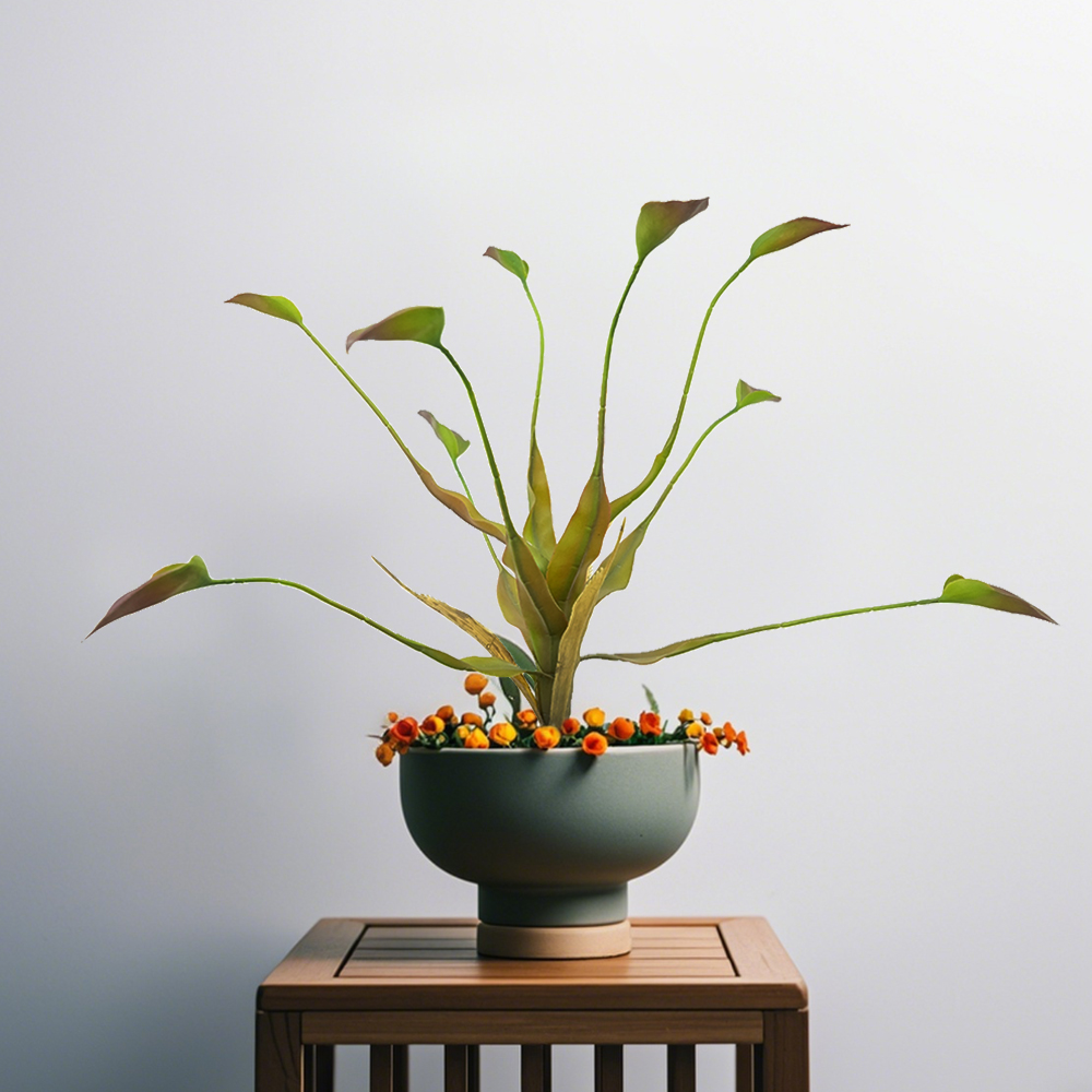 3 Dripping Guanyin Leaves