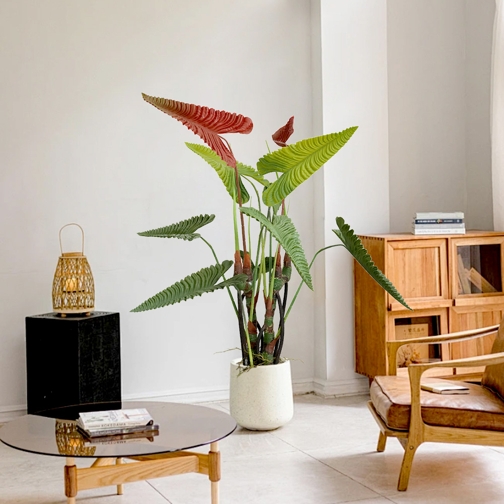 5 Tropical Palm Tree