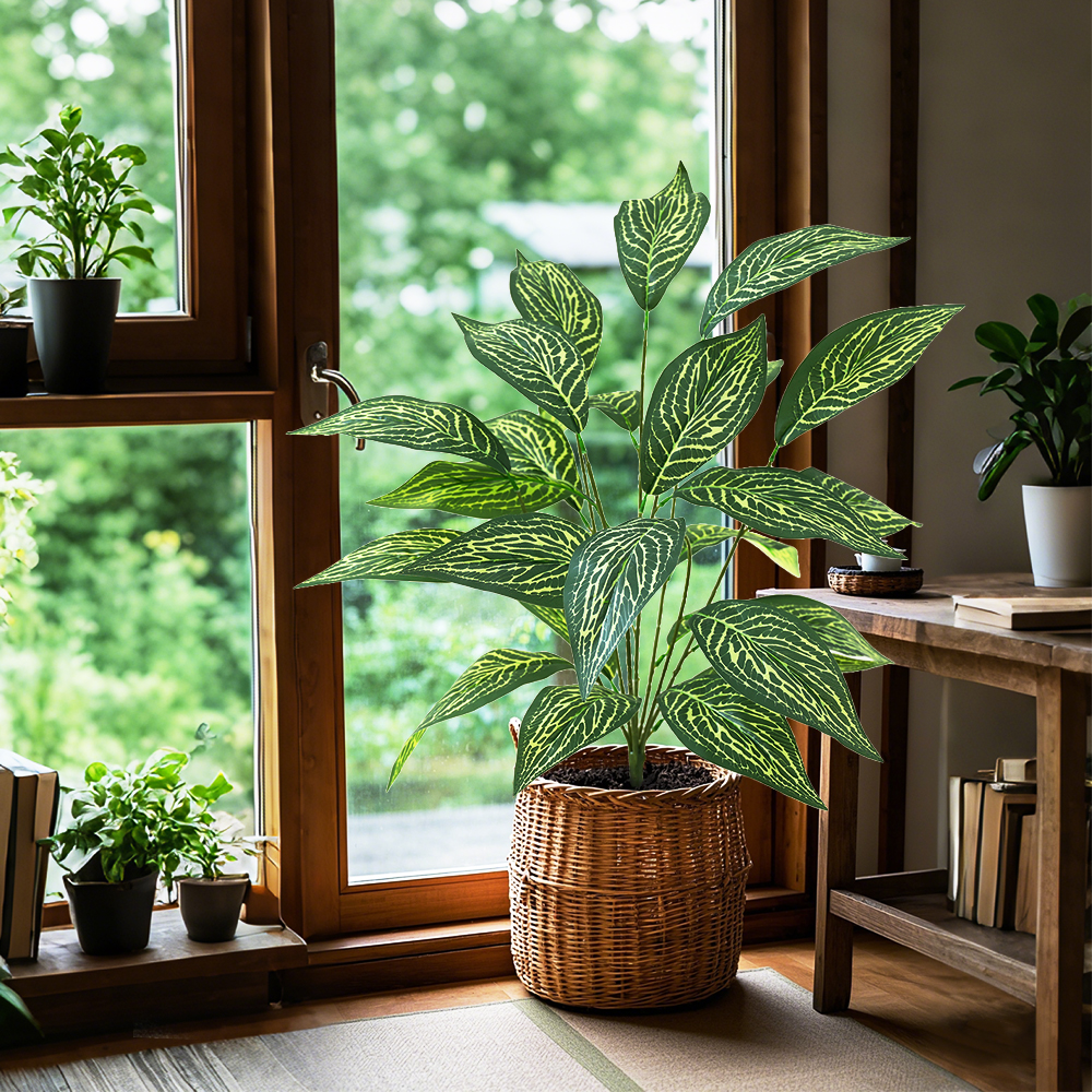 17 Green plant Brazilian taro leaves