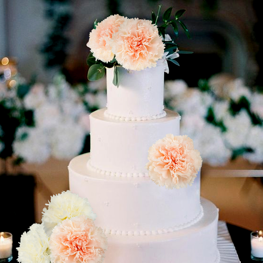 场景8 Carnation Artificial