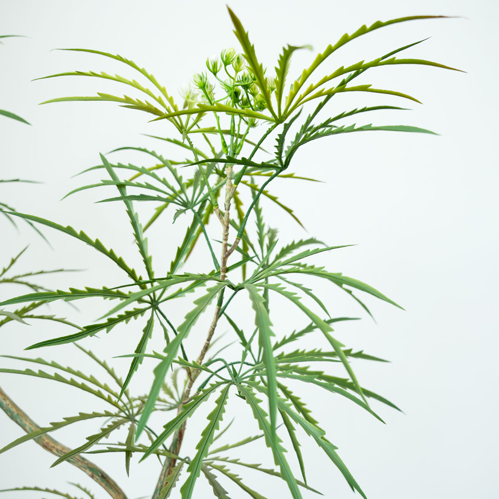 8 Simulation Peacock Wood