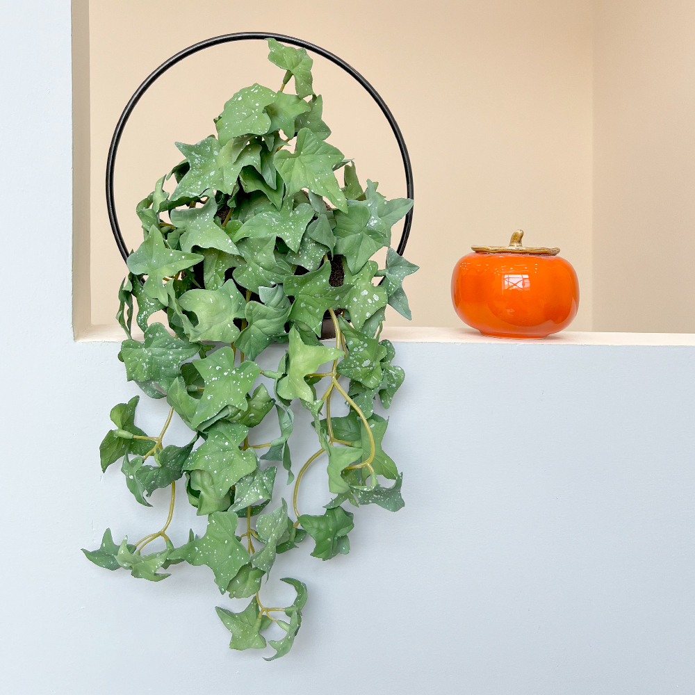 红掌叶垂吊绿色2 Artificial plant hanging green