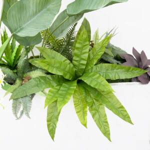 Tropical false plant