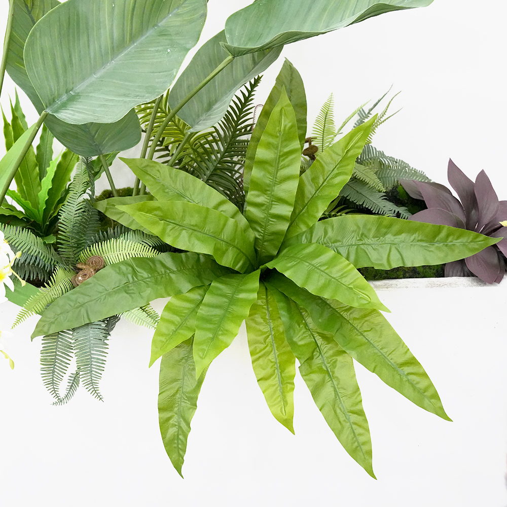 场景 Tropical false plant