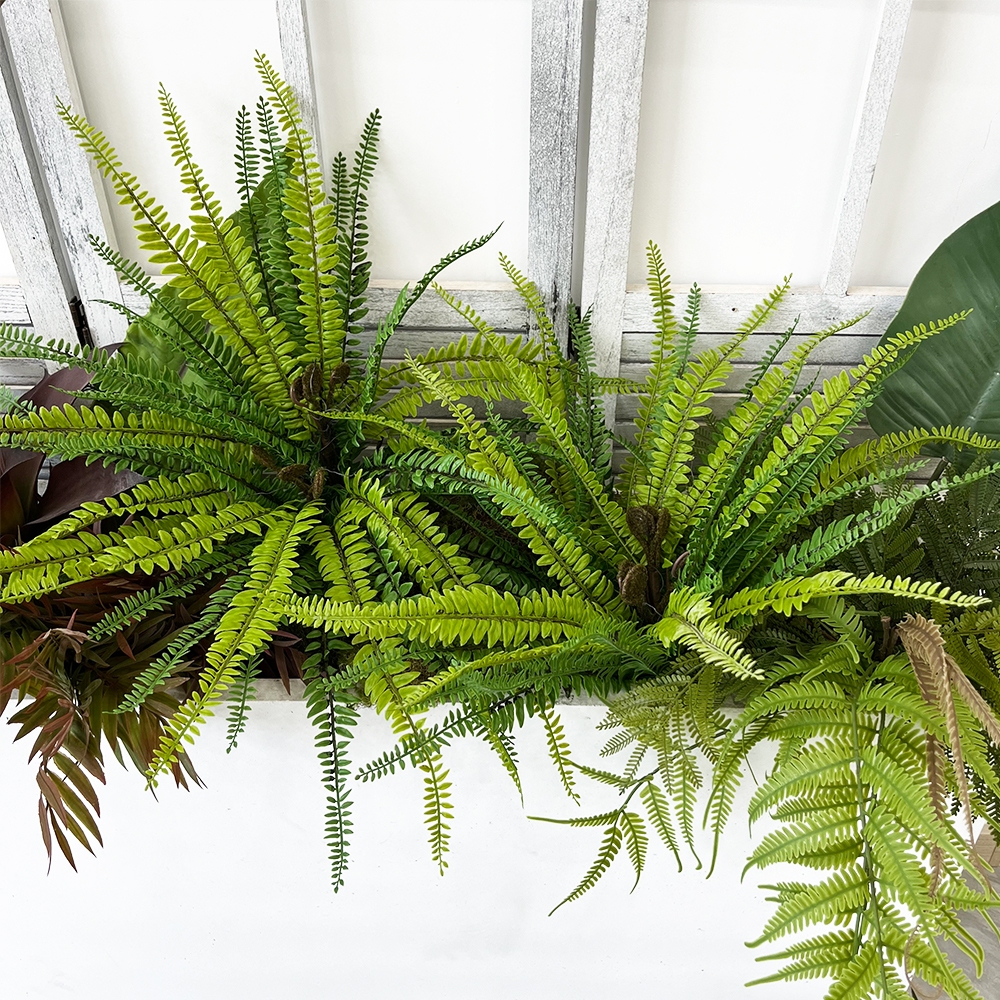 场景3 Artificial Fern