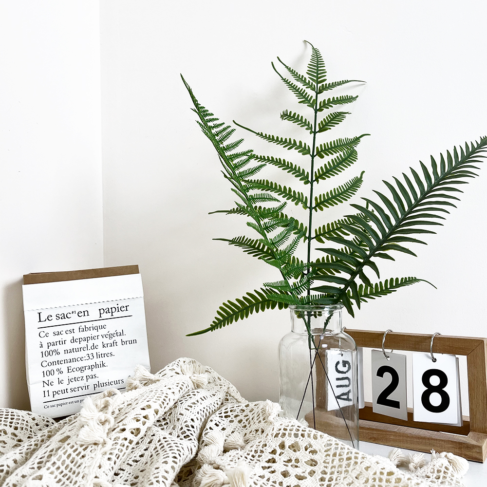 场景1 Artificial tropical fern leaves