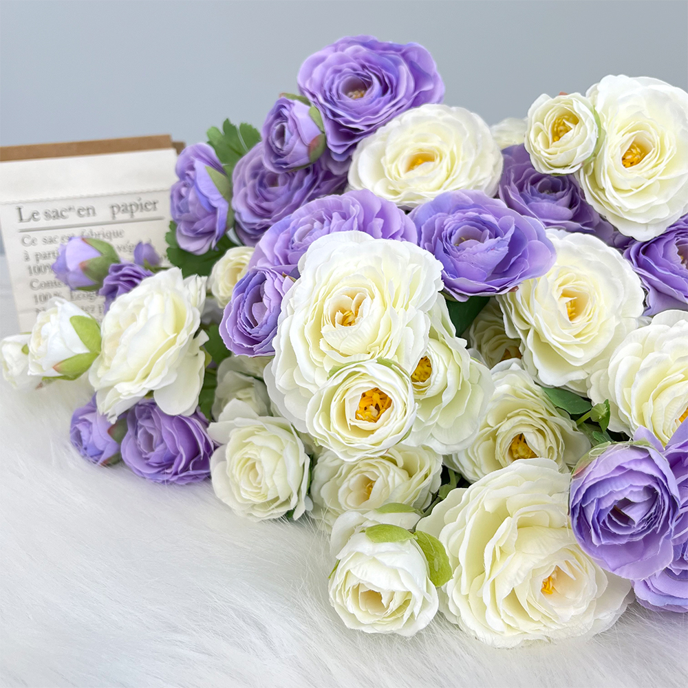 场景2 5 dew lotus peony