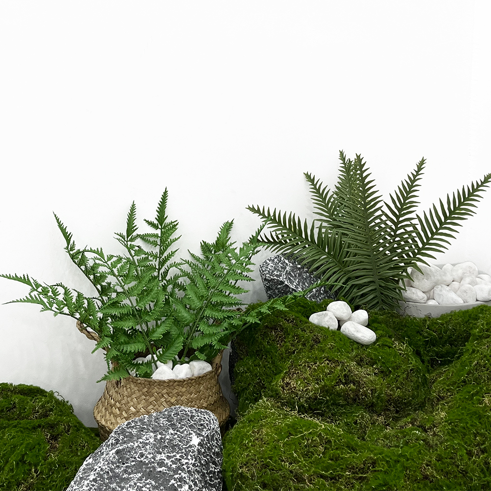 场景1 Artificial tropical fern leaves