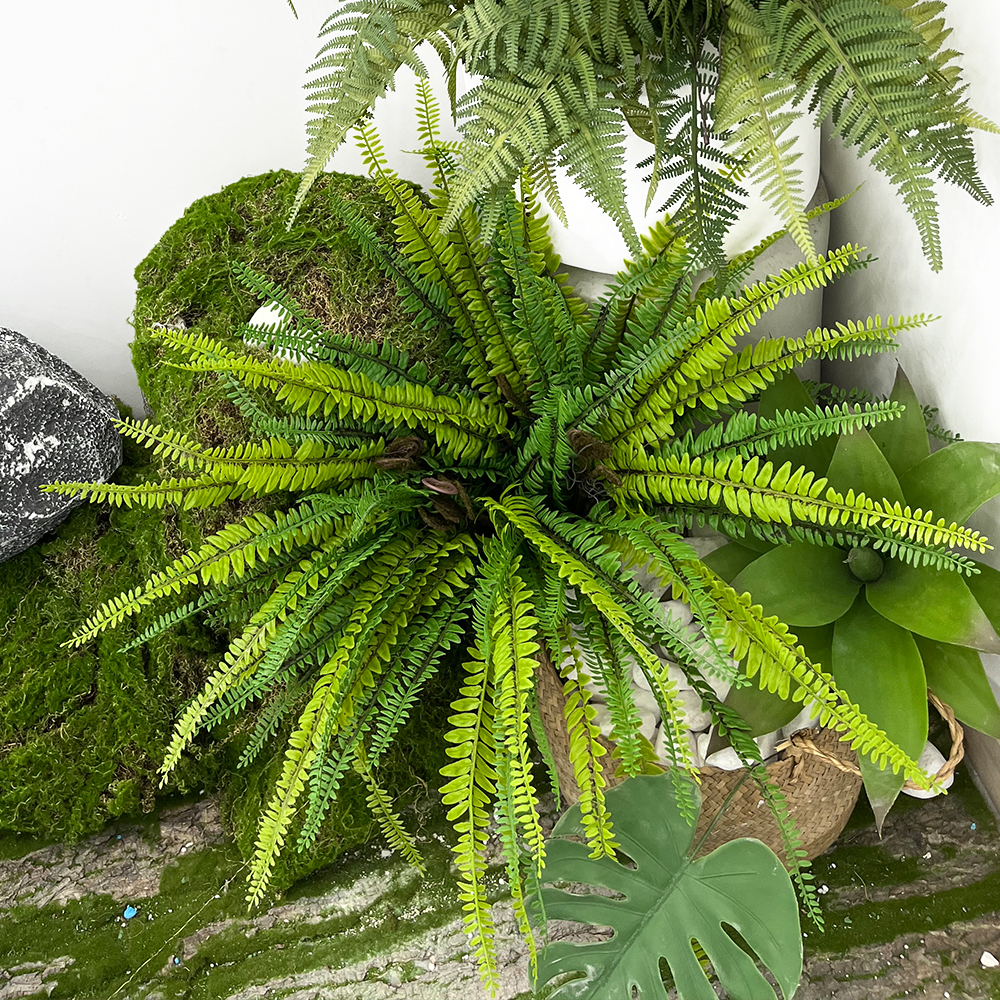 Artificial Fern