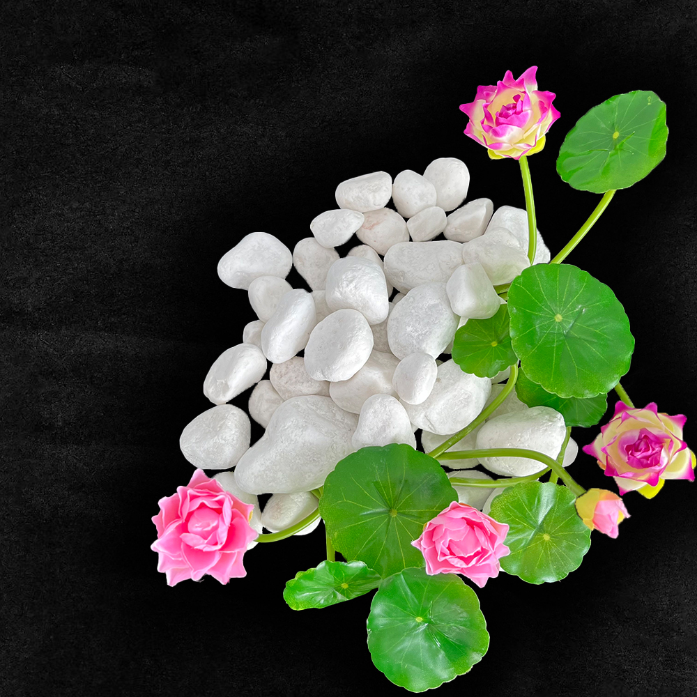 场景2 Simulation Small Lotus