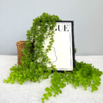 Artificial eucalyptus rattan