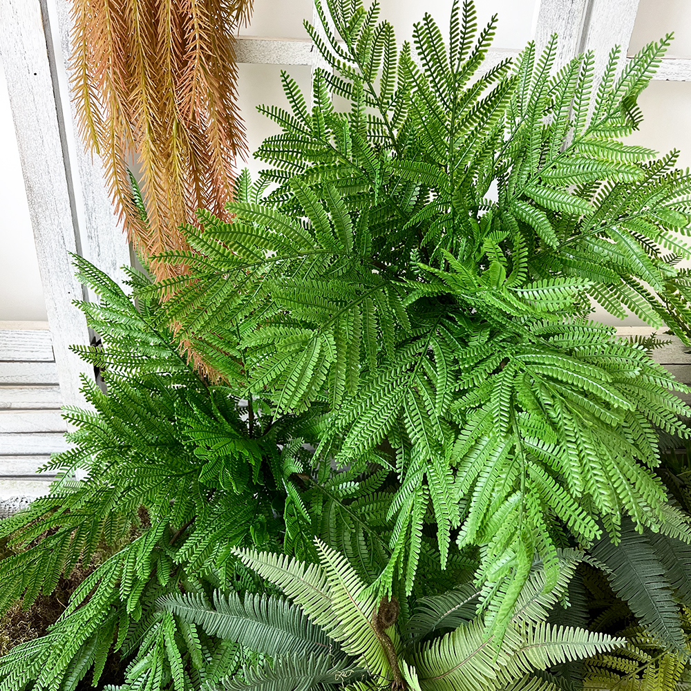 场景7 Artificial FernTropical