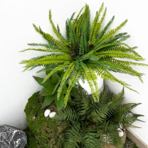 Artificial Fern