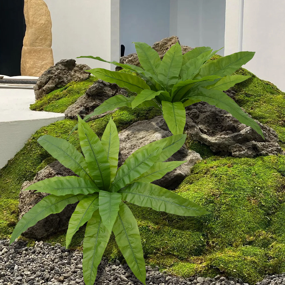 Tropical false plant