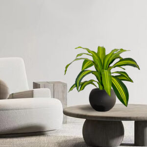 Artificial Brazilian wood trees