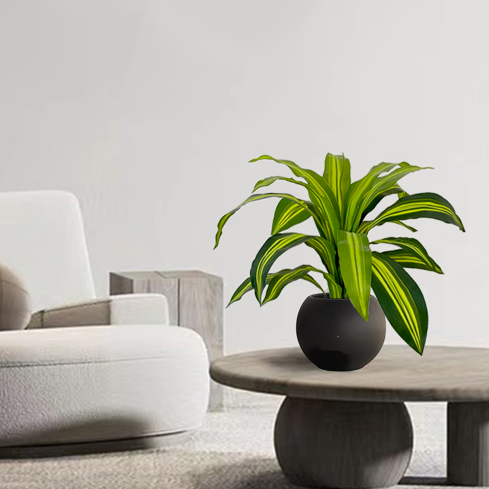 场景5 Artificial Brazilian wood trees