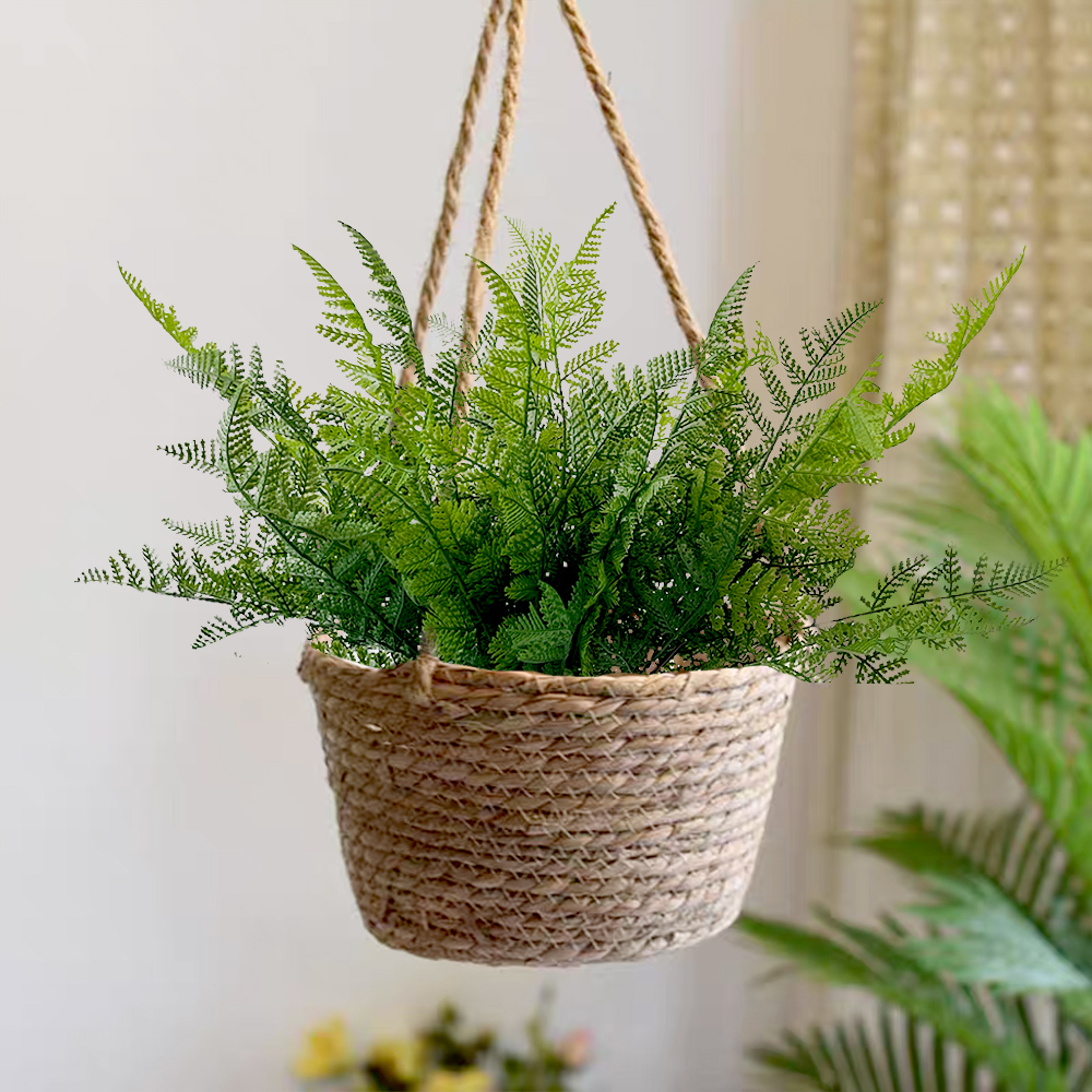 场景1 simulation of green plants