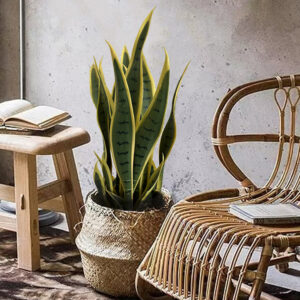 Artificial Tropical Tiger Skin Orchid