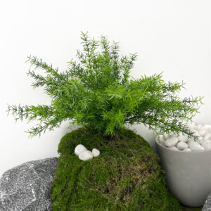 Artificial tropical plants