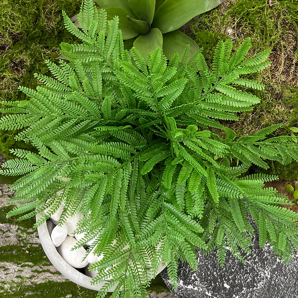 场景7 Artificial FernTropical