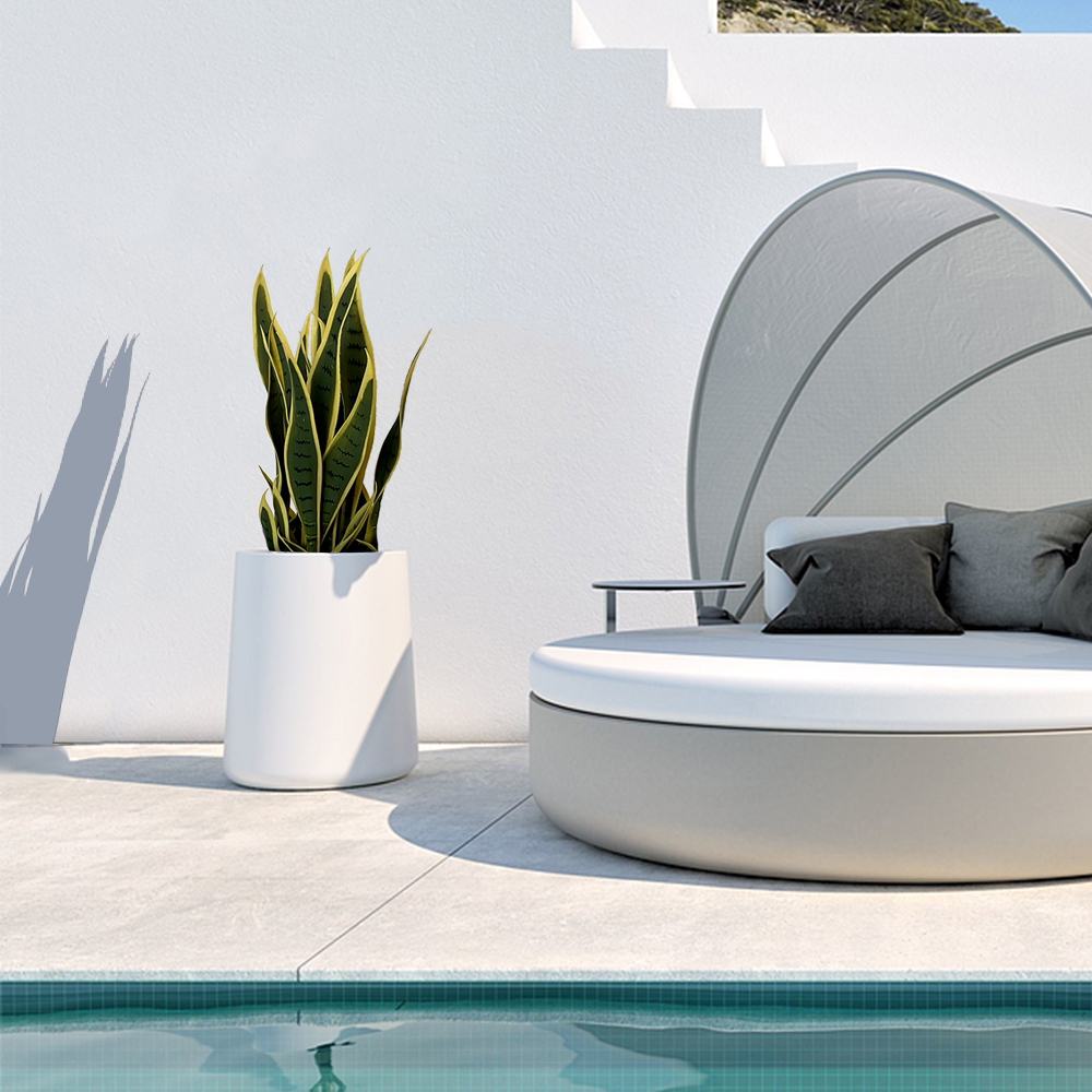 场景5 Artificial Tropical Tiger Skin Orchid