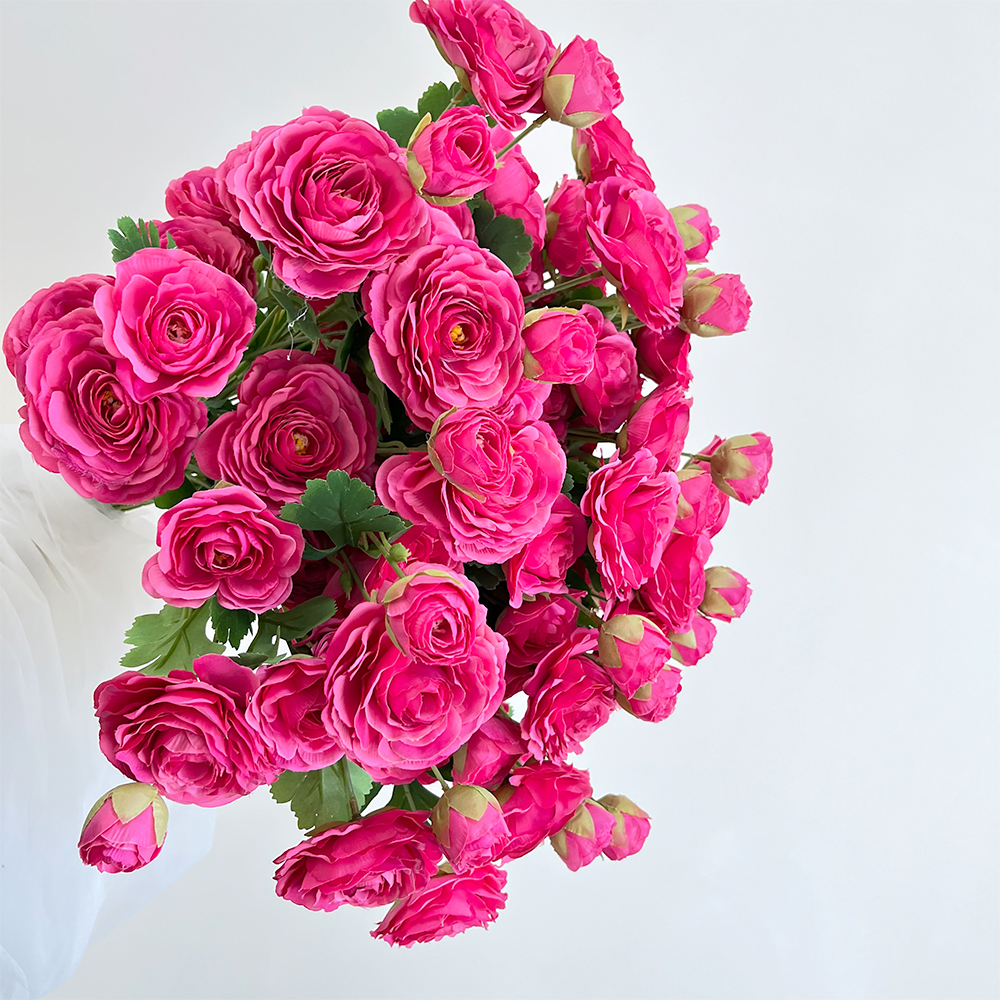 场景2 5 dew lotus peony