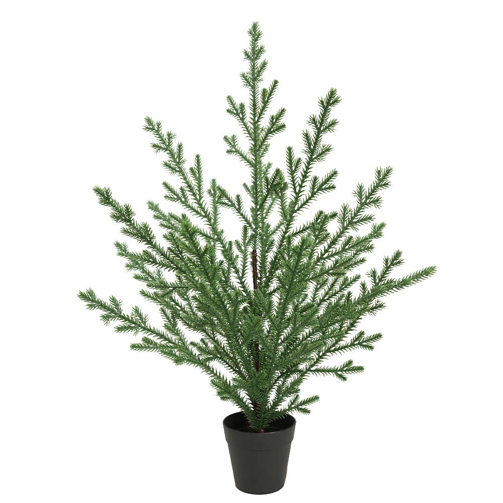 Christmas simulation Norfolk pine