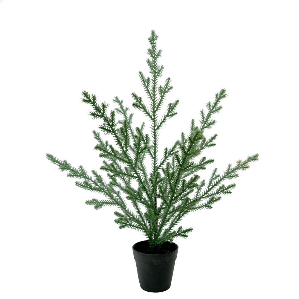 Christmas simulation Norfolk pine