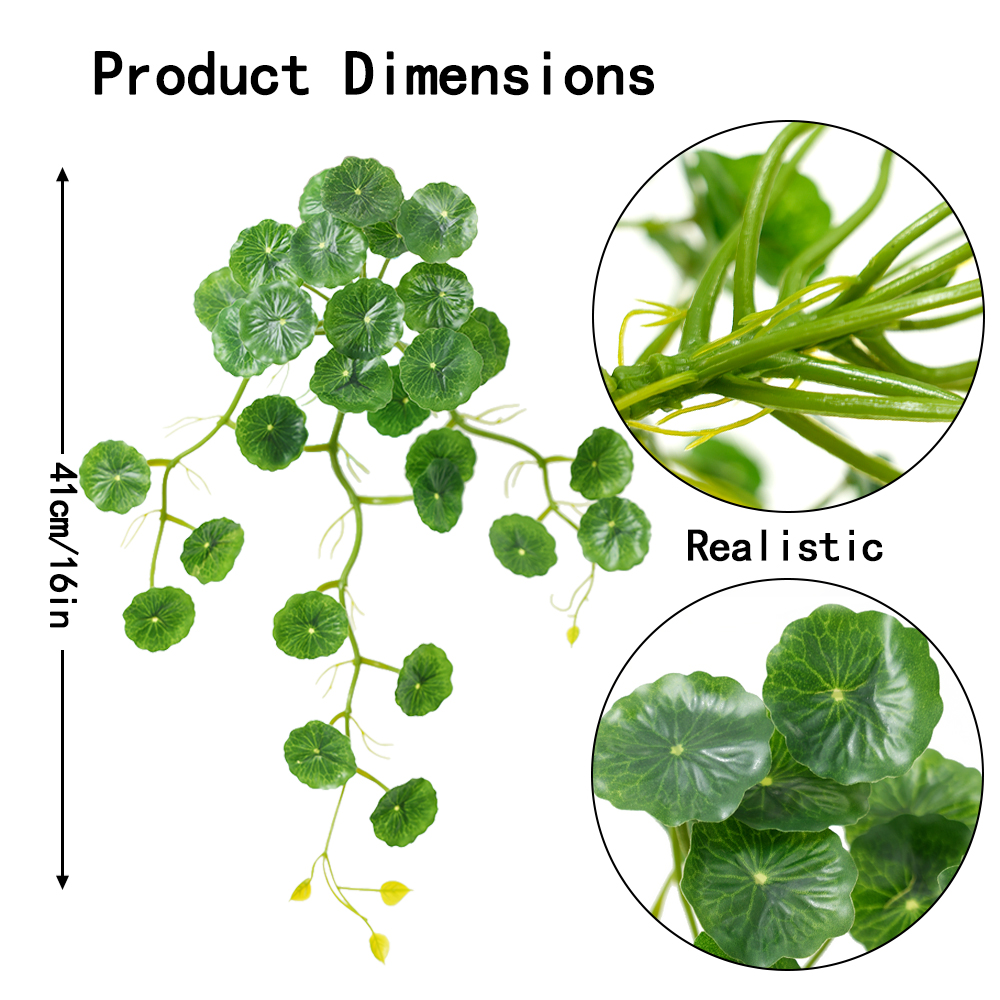 Pseudo-lotus mosaic sweet potato hanging