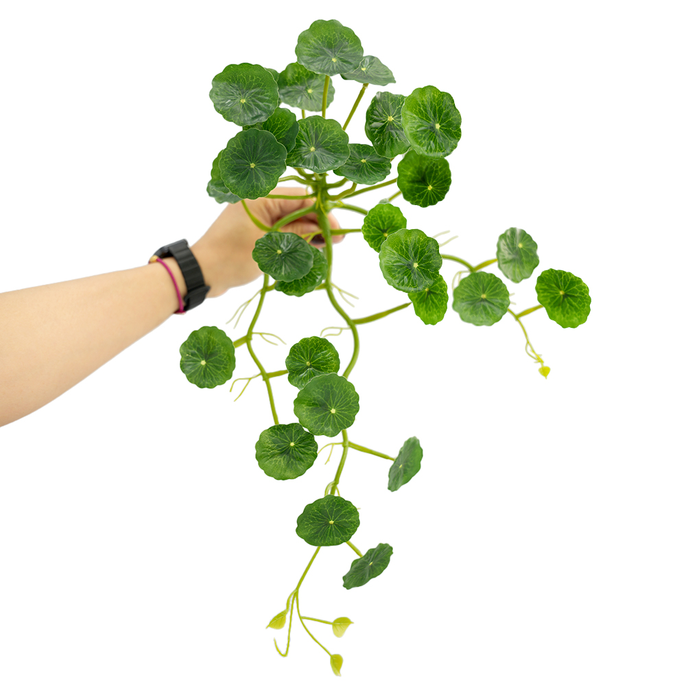 Pseudo-lotus mosaic sweet potato hanging