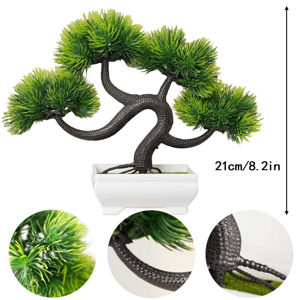 Small Pine Tree Potted