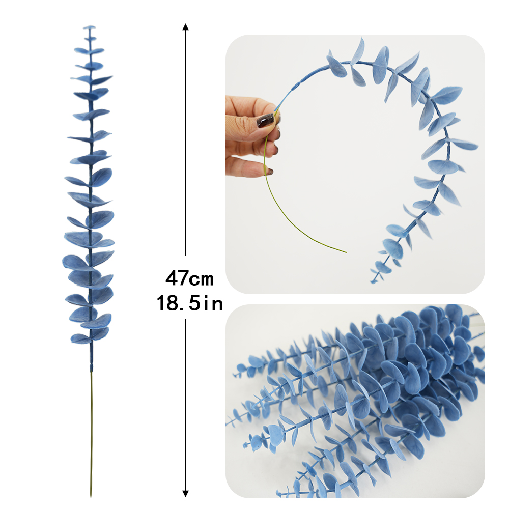 simulation Eucalyptus