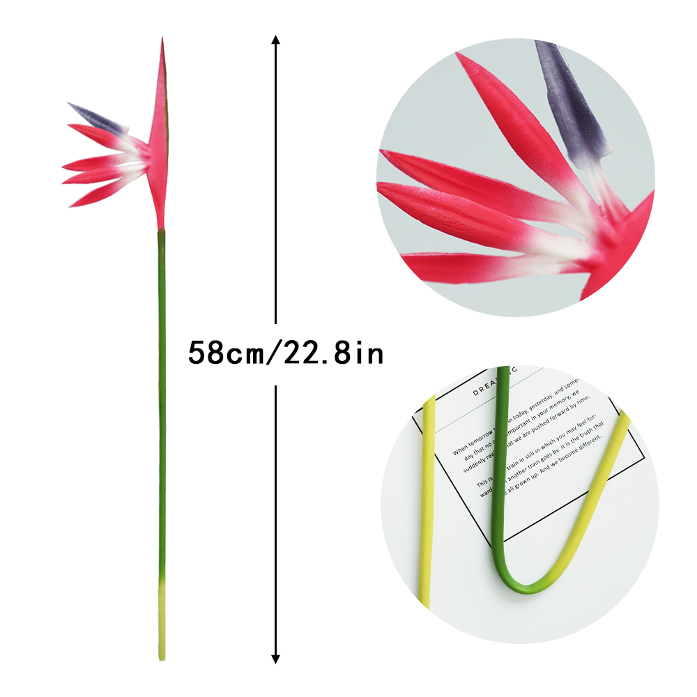 simulation Birds Of Paradise