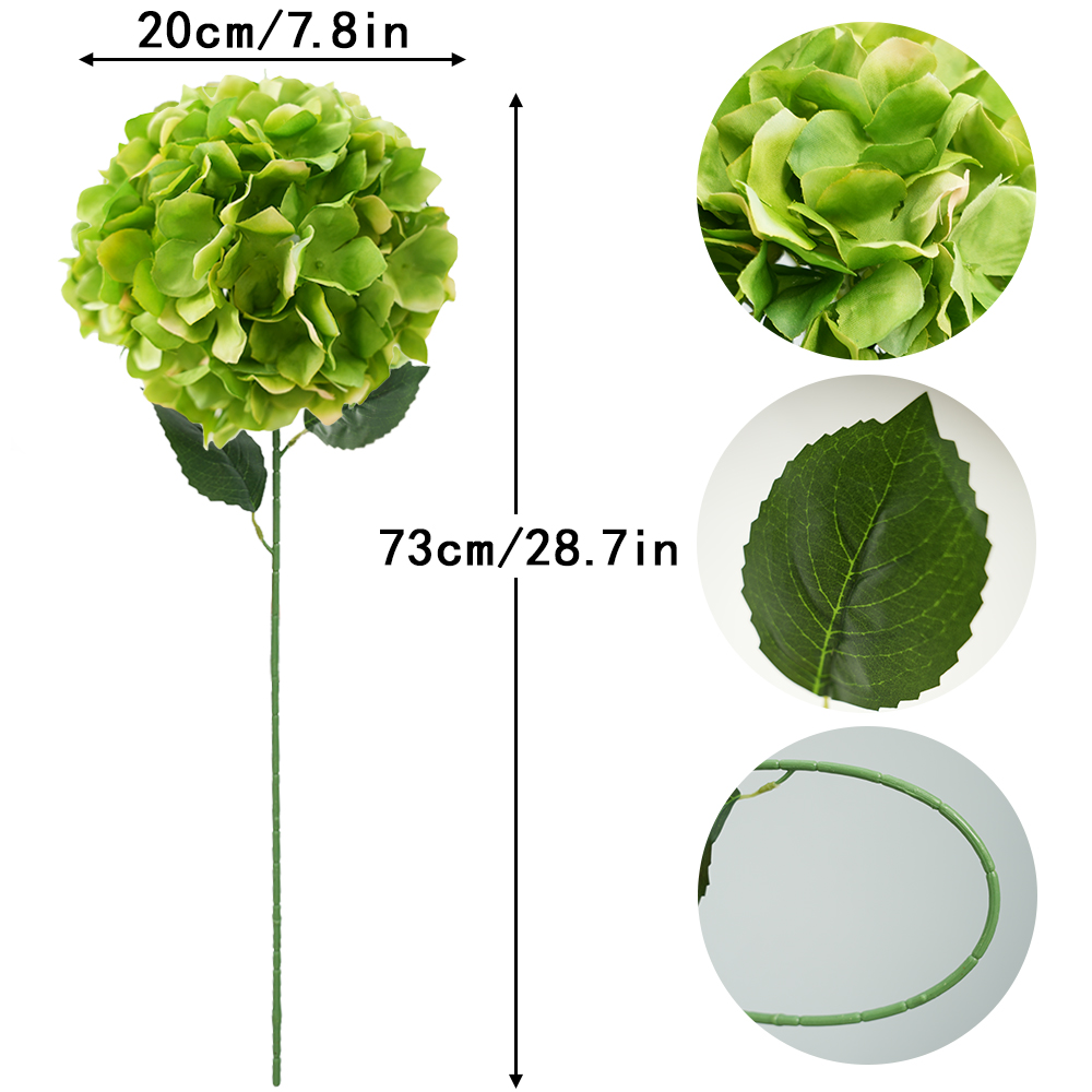 Simulation Anna hydrangea