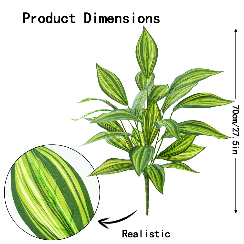 Green plant Brazilian taro leaves