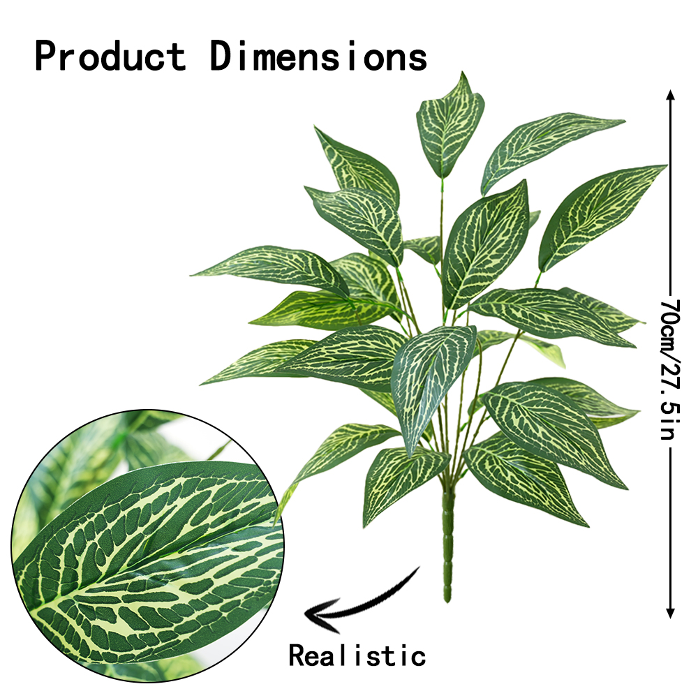 Green plant Brazilian taro leaves