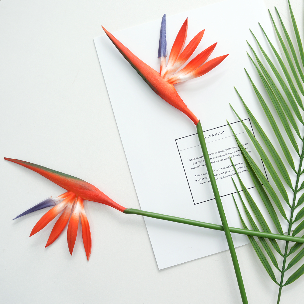 simulation Birds Of Paradise