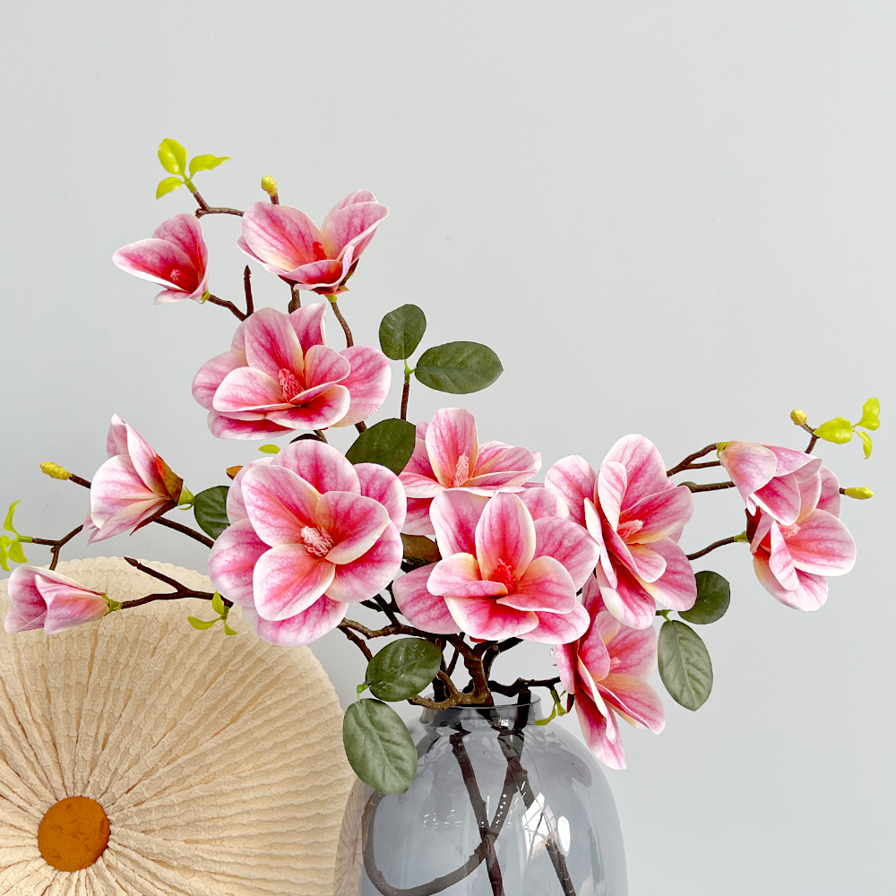 深粉2 Simulation 4 Magnolia