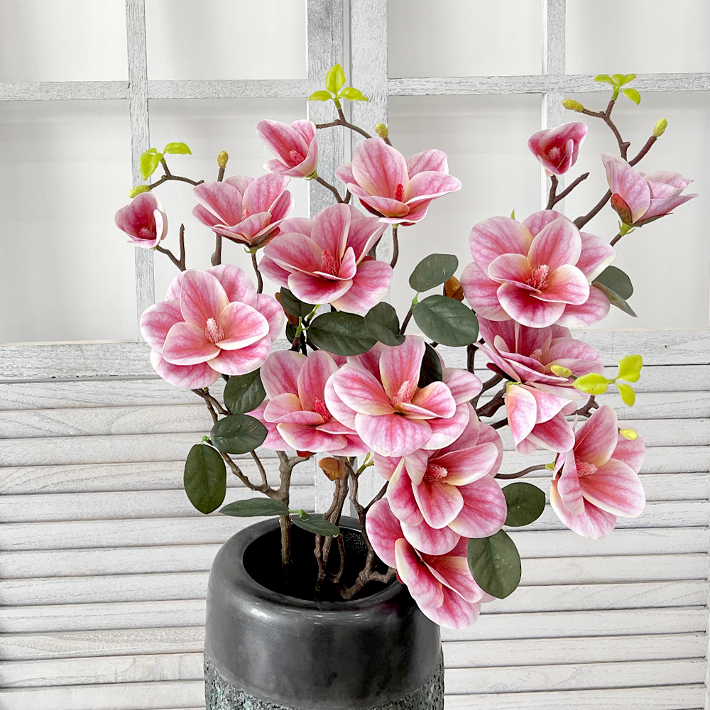 深粉2 Simulation 4 Magnolia