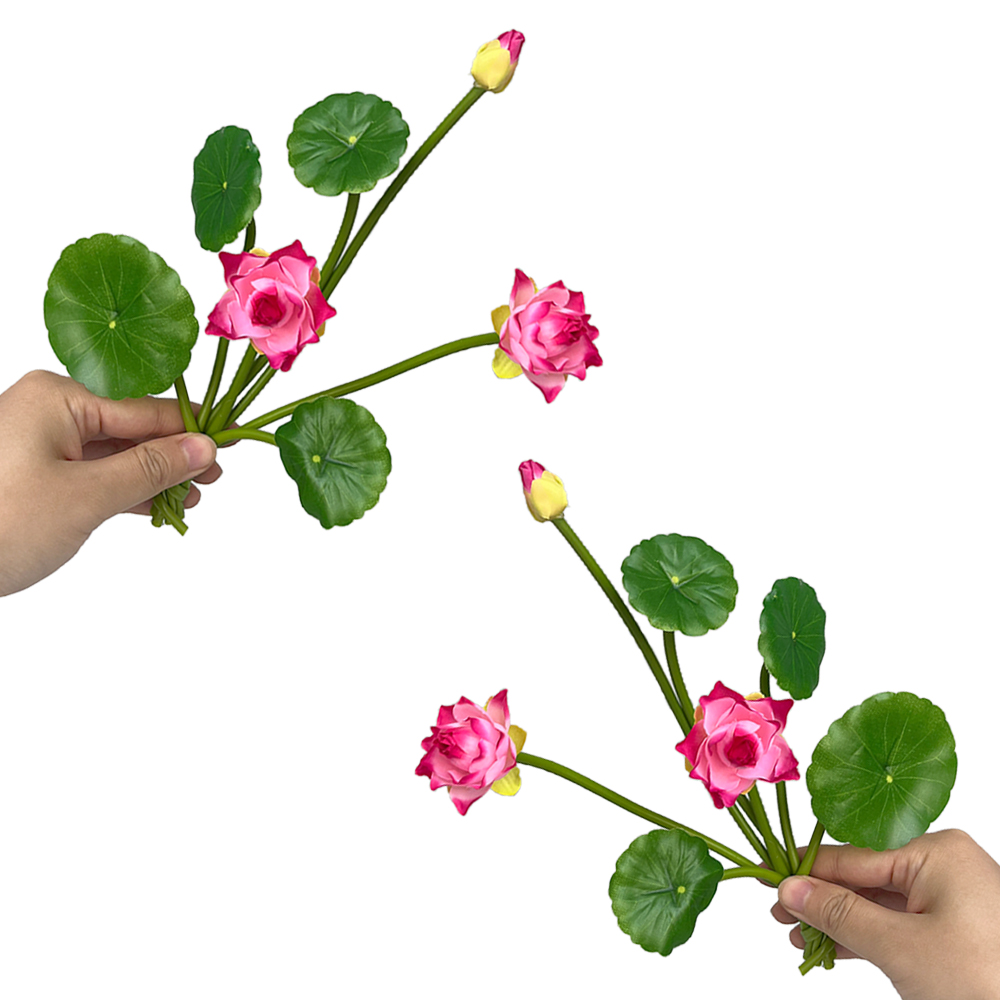 Simulation Small Lotus