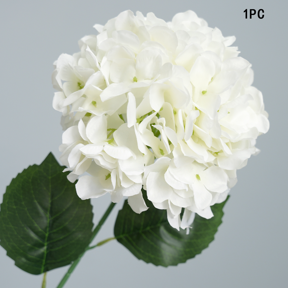 Simulation Anna hydrangea