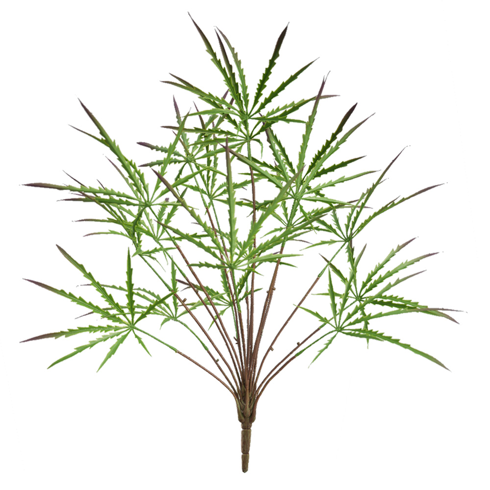 Peacock Wooden Bundle