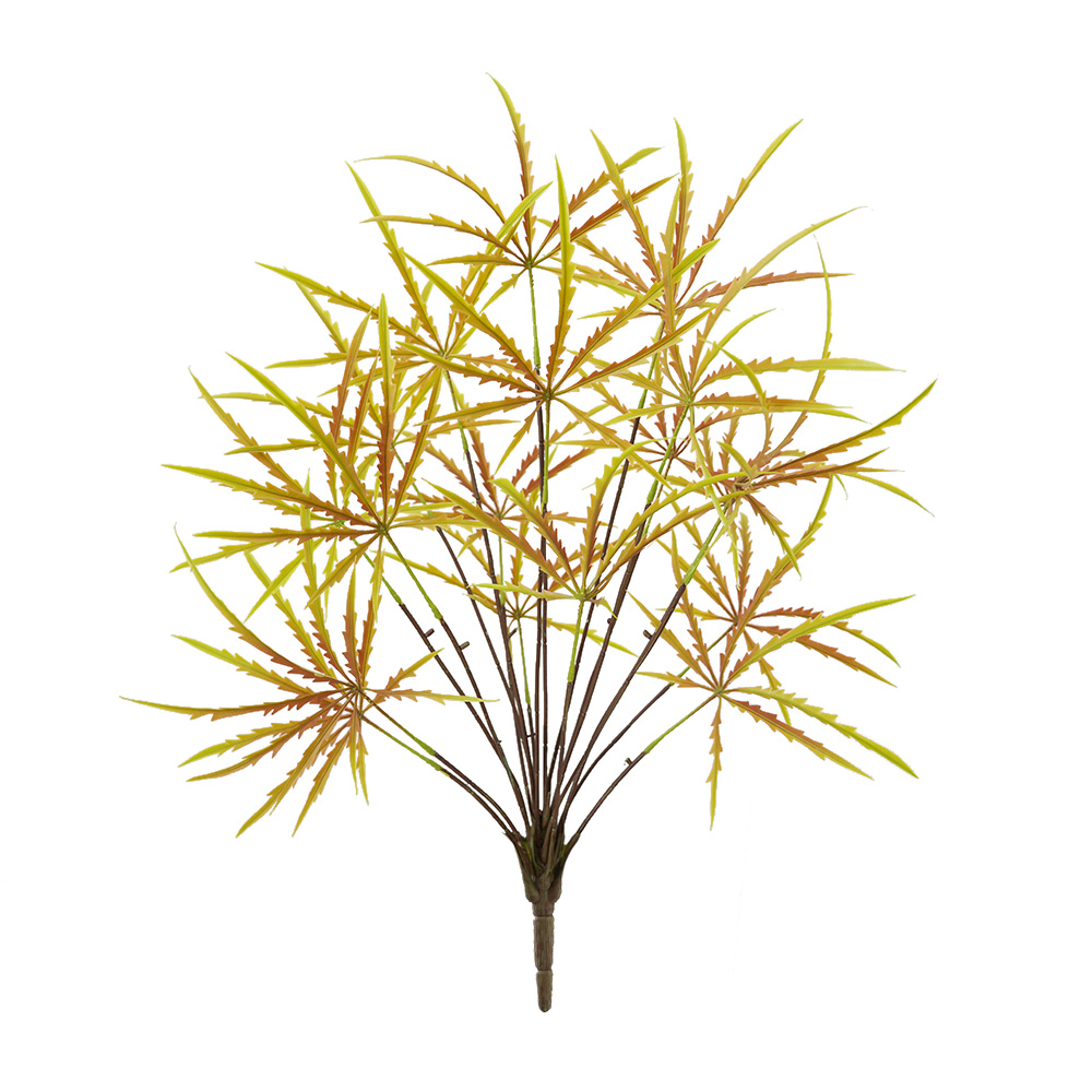 Peacock Wooden Bundle