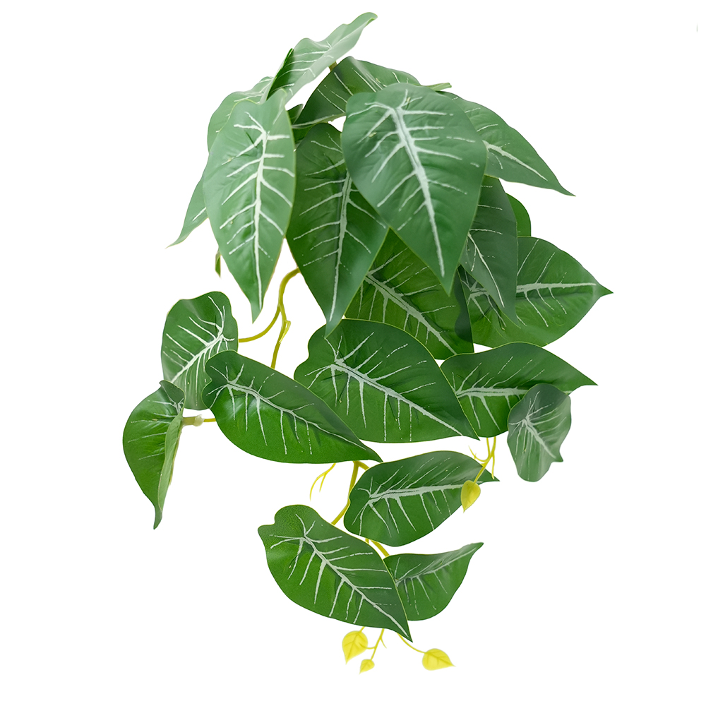 Small Taro Simulation