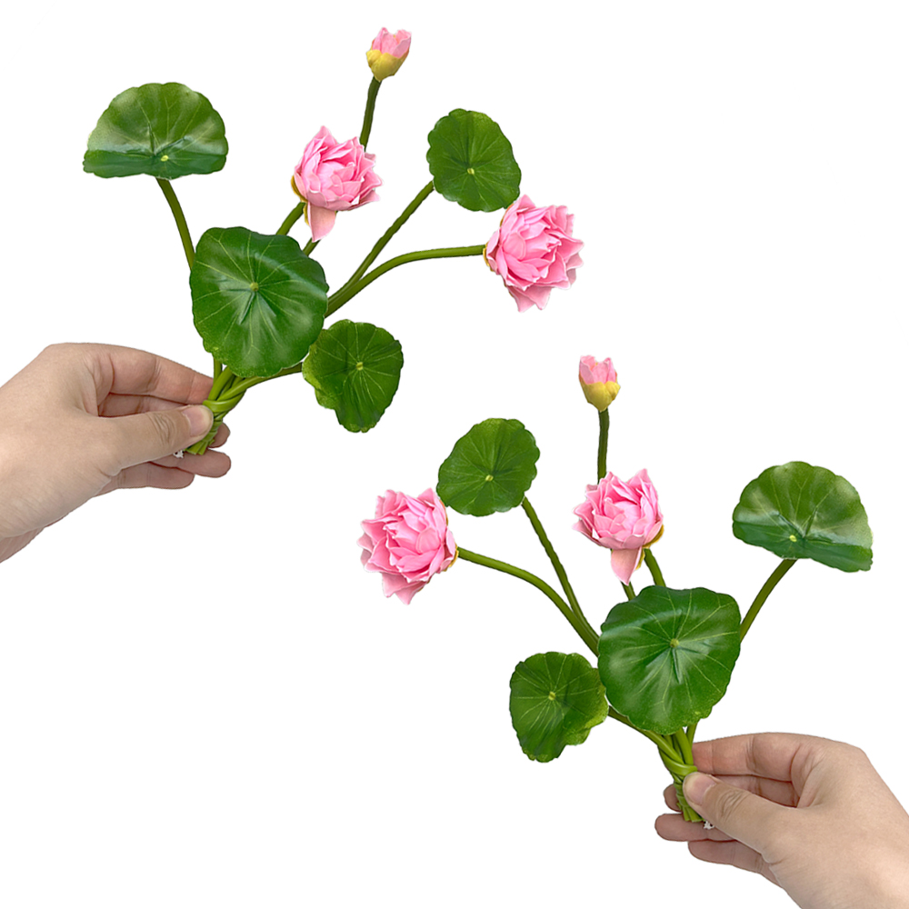 Simulation Small Lotus