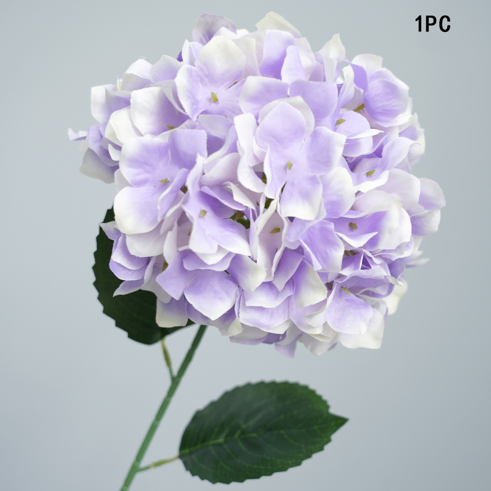 Simulation Anna hydrangea