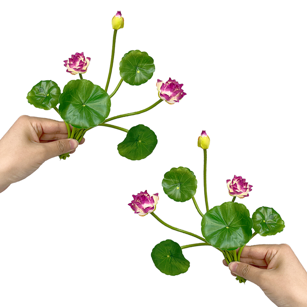 Simulation Small Lotus