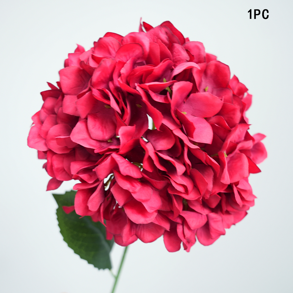 Simulation Anna hydrangea