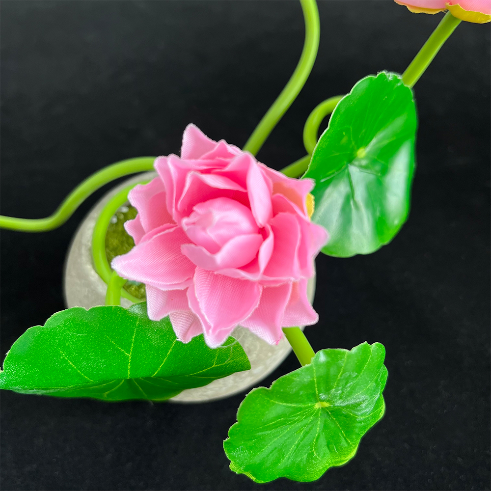 Simulation Small Lotus